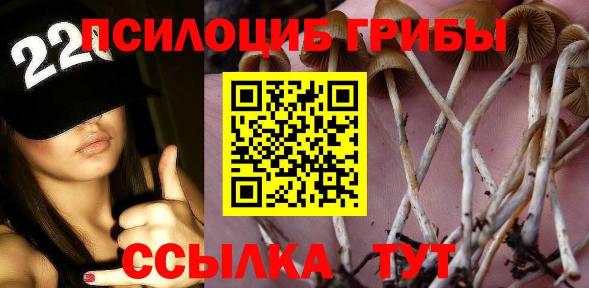 Псилоцибиновые грибы Psilocybine cubensis  Вход с VPN  Псилоцибиновые грибы Cubensis  Советск 